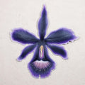 Steel wall art - Tropical Orchid